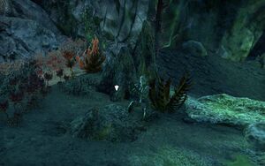 ON-place-Forgotten Grave Goods 03-s.jpg