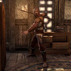 ON-npc-Sternis Gelves.jpg