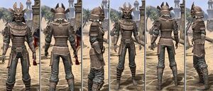 ON-item-armor-Homespun-f-Tsaesci Style.jpg