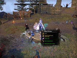 ON-place-Ring of the Pale Order 03.jpg