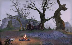 ON-place-Tangle Rock.jpg