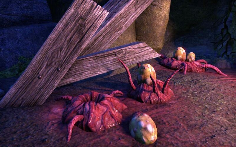 Файл:ON-place-interior-Burroot Kwama Mine 03.jpg