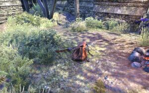 ON-quest-Family Reunion 02.jpg