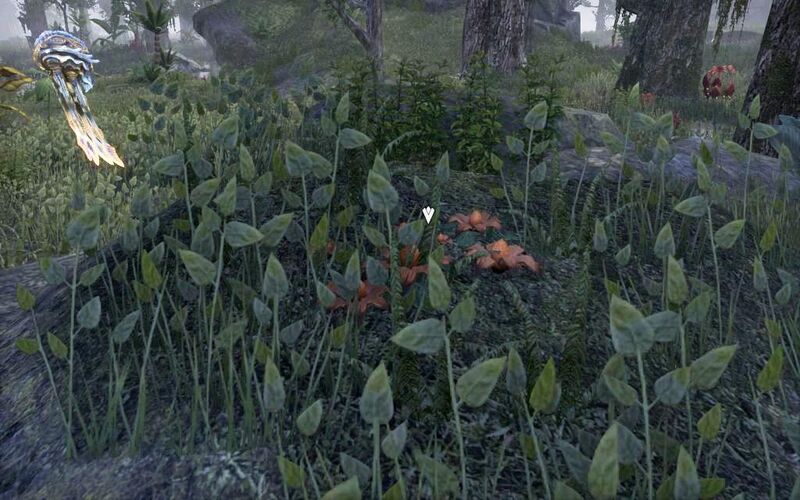 Файл:ON-quest-The Sounds of Home 04.jpg