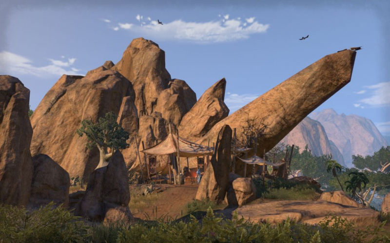 Файл:ON-place-Valenwood Border Artisan Camp.jpg