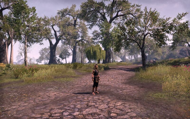 Файл:ON-world event-By Azura.jpg