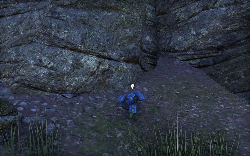 Файл:ON-place-The Perfect Burial 01.jpg