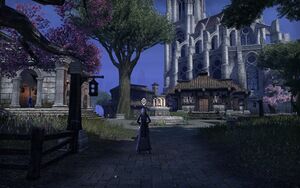 ON-quest-The Hollow City (quest) 01.jpg