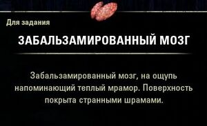 ON-item-quest-The Preservation of Life 03.jpg