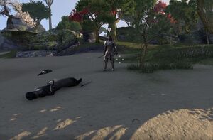 ON-quest-Anchors from the Harbour 02.jpg