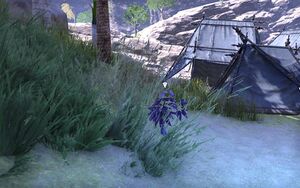 ON-quest-Tides of the Heart 09.jpg