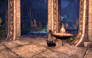 ON-quest-Lost in Study 04.jpg