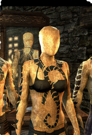 ON-card-Draco Aerius Body Markings.png