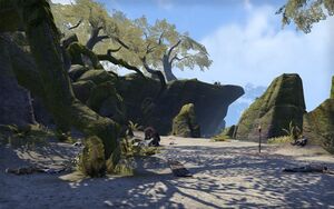 ON-place-Windshriek Strand.jpg