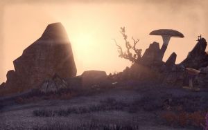 ON-place-Still-Water's Camp.jpg