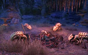 ON-interior-Hatching a Plan 10.jpg