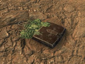 ON-node-Herbalist's Satchel.jpg