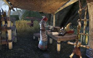 ON-place-Mages Guild (Vulkwasten) 01.jpg