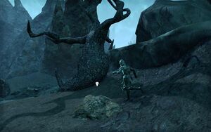 ON-place-Forgotten Grave Goods 04-s.jpg