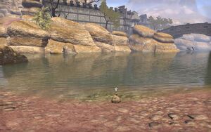 ON-quest-Over the Edge 01.jpg