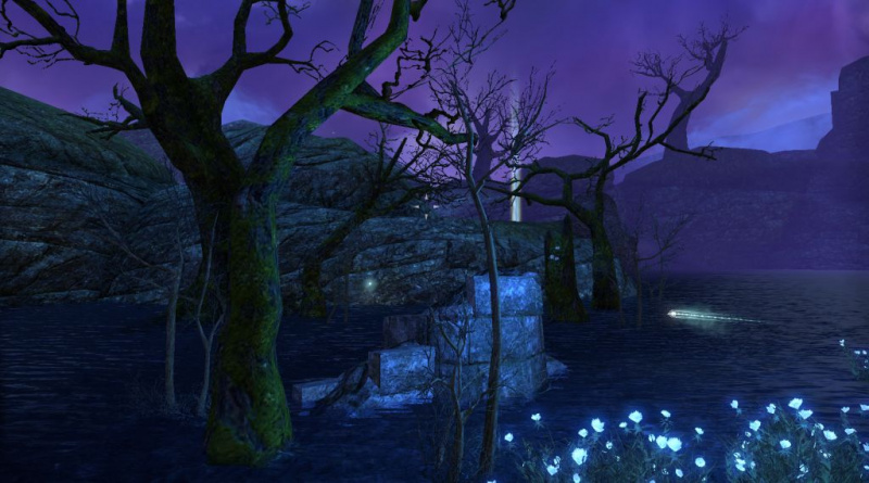 Файл:ON-Skyshard-Crow's Wood.jpg