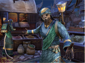 ON-costume-Traveling Merchant (male).jpg