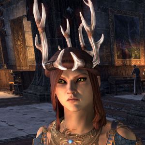 ON-hat-14-Point Antler Skullcap.jpg