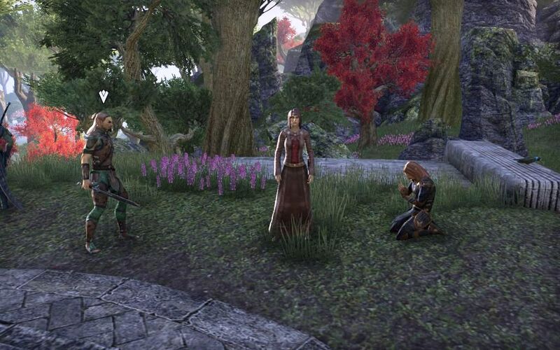 Файл:ON-quest-The Veiled Choice 12.jpg