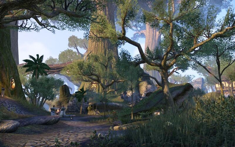 Файл:ON-place-Traders Tree.jpg