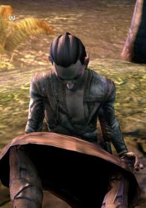 ON-npc-Elilor 02.jpg