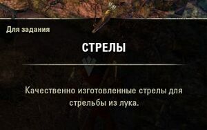 ON-item-quest-Arrows.jpg