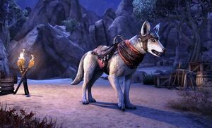 ON-mount-Pyre Watch Jackal.jpg