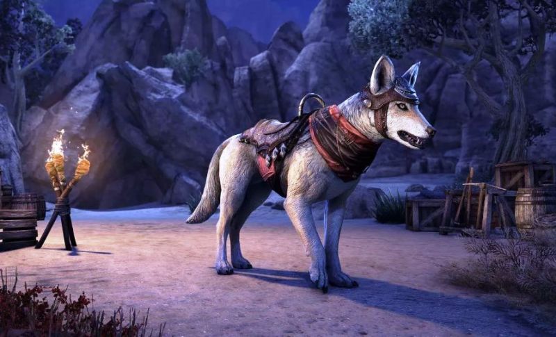 Файл:ON-mount-Pyre Watch Jackal.jpg