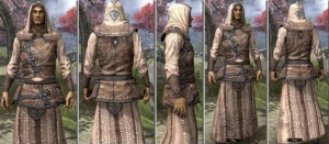 ON-item-armor-Homespun-m-Altmer Style.jpg