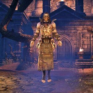 ON-npc-Angof the Gravesinger (person).jpg