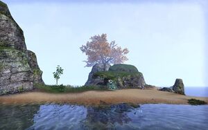 ON-place-Balefire Island.jpg