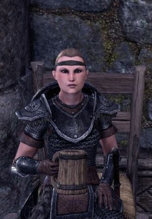 ON-npc-Shield-Captain Viglir.jpg