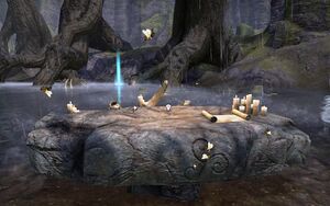 ON-quest-Back to Rest 07.jpg