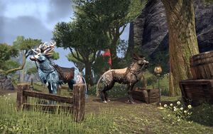 ON-interier-The Event Exchange (Auridon) 01.jpg