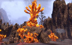 ON-place-Coral Heart Chamber 01.jpg