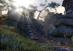 ON-place-Spider Nest.jpg