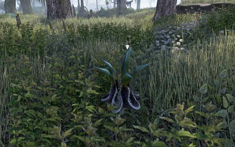 Файл:ON-quest-The Sounds of Home 05.jpg