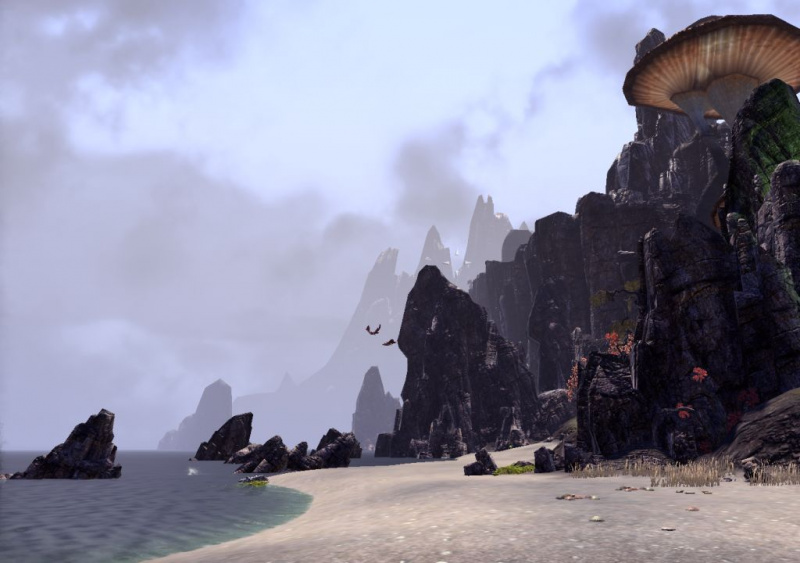 Файл:ON-place-Bal Foyen 03.jpg