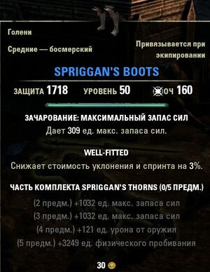 ON-item-Spriggan's Boots.jpg