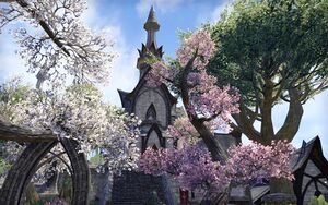 ON-place-Fighters Guild (Skywatch).jpg