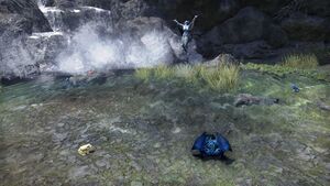 ON-place-In Need of a Bath 05.jpg