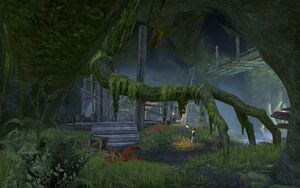 ON-place-ON-interior-The Roots of Silvenar 02.jpg