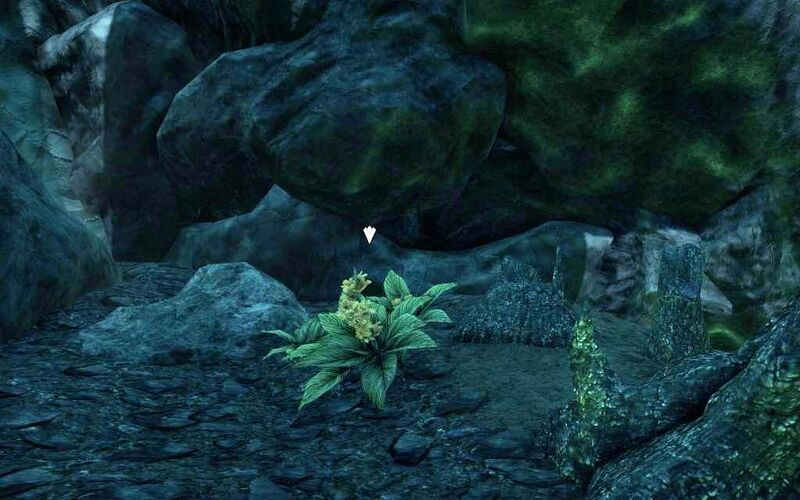 Файл:ON-quest-Flowers in the Folly 04.jpg