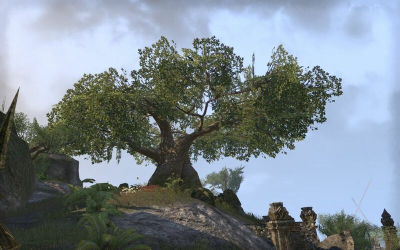 Файл:ON-place-Windcatcher Plantation 02.jpg