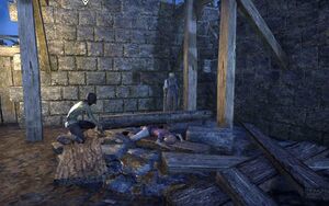 ON-quest-Divine Conundrum 07.jpg